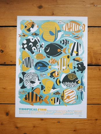 Tropical Fish - A3 Lithographic Print