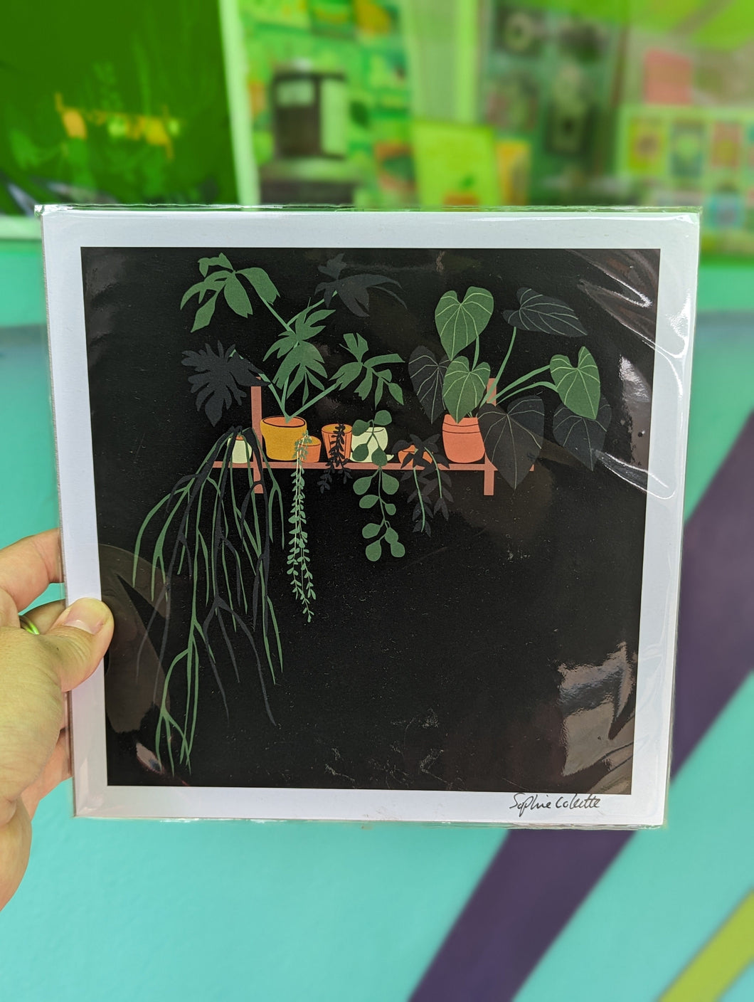 Houseplant Shelf on Black Print