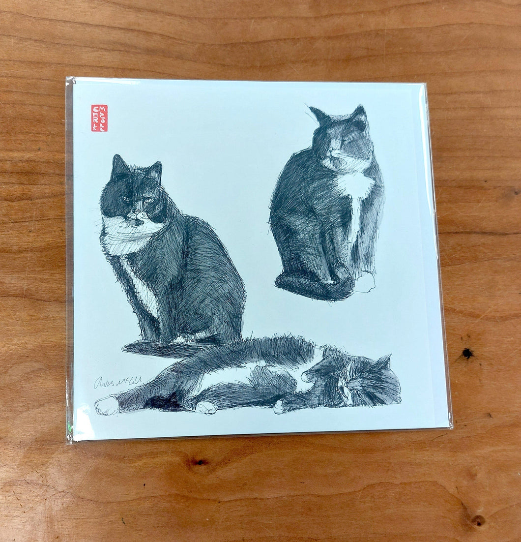 3 cats Card version 2