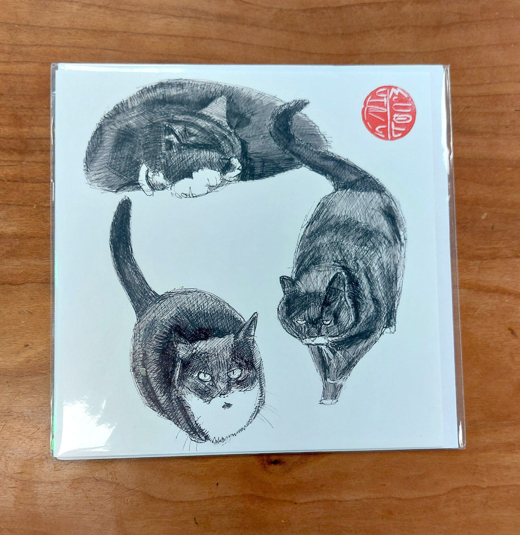 3 cats Card