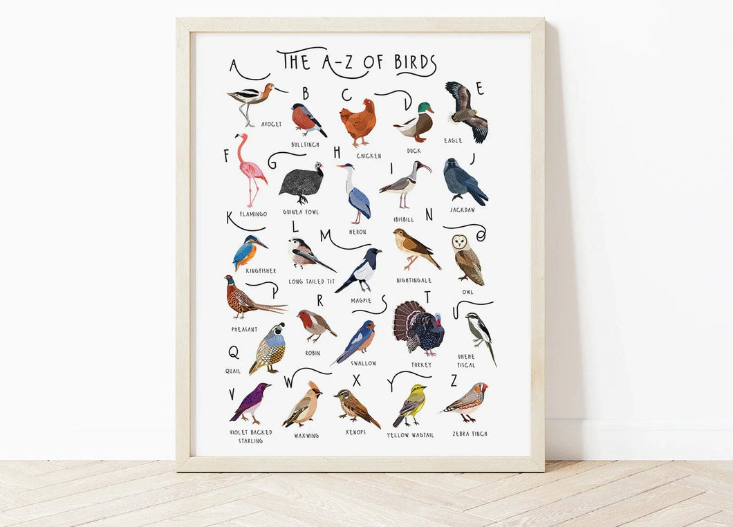 A-Z of Birds Print - A4
