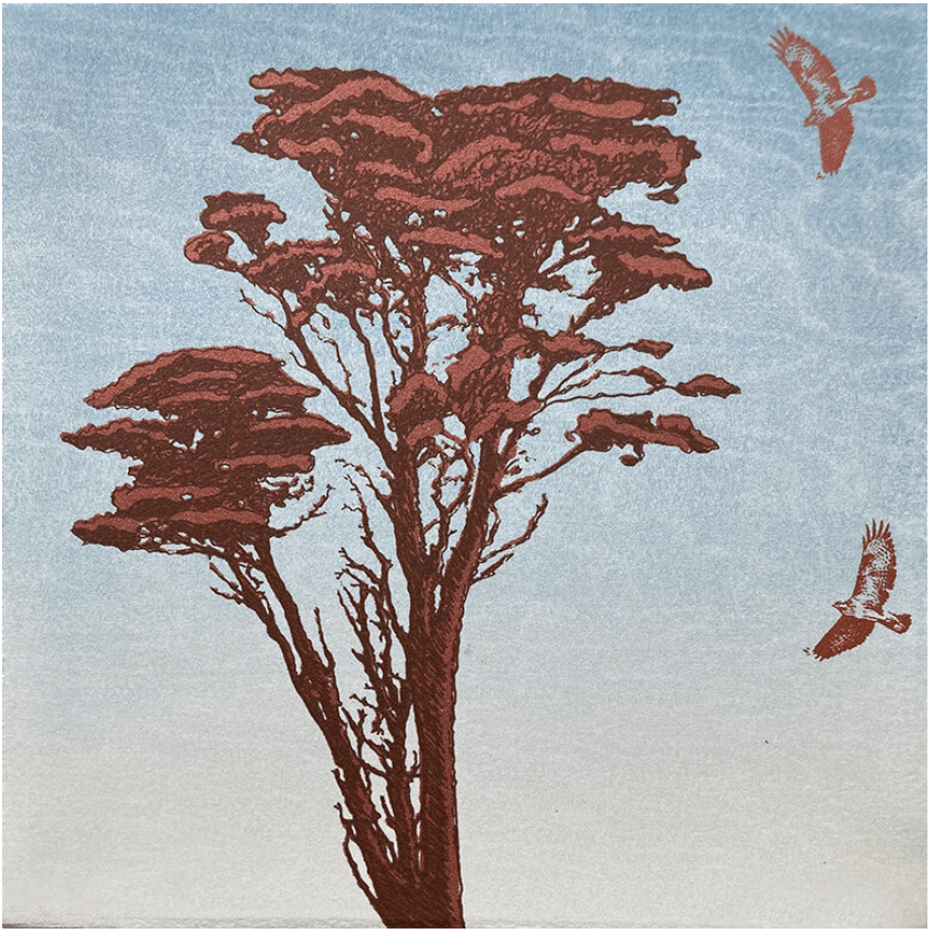 Eyrie Screenprint