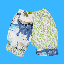 Load image into Gallery viewer, Dinosaur Sustainable Baby Trousers 12- 18 months
