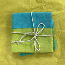 Load image into Gallery viewer, Furoshiki Fabric Gift Wrap - Turq &amp; Lime
