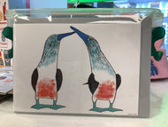 Blue-Footed Boobies Card