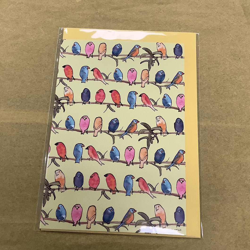 Colourful birds on yellow card
