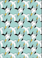 Gannets Pattern Card