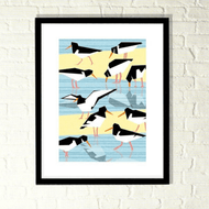 Oystercatchers Print