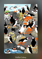 Puffin colony card