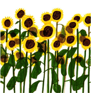 sunflowers Print A4