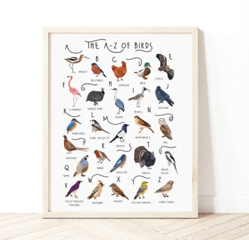A-Z of Birds Print