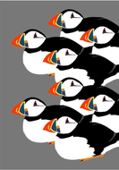 Puffins Pattern Card