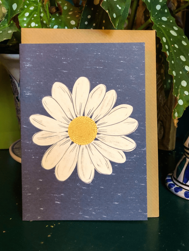 daisy card
