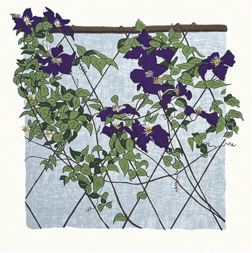 Clematis Card