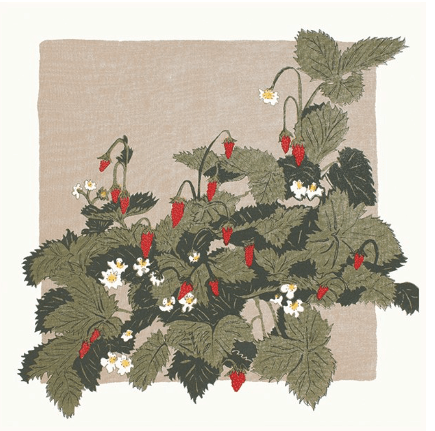 Wild strawberries Card