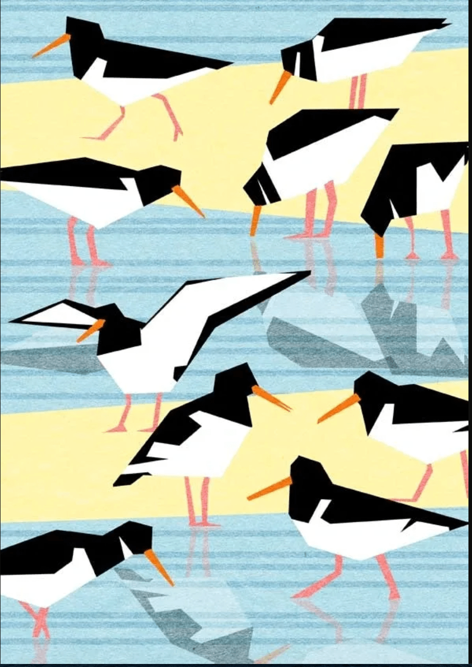 Oystercatchers card