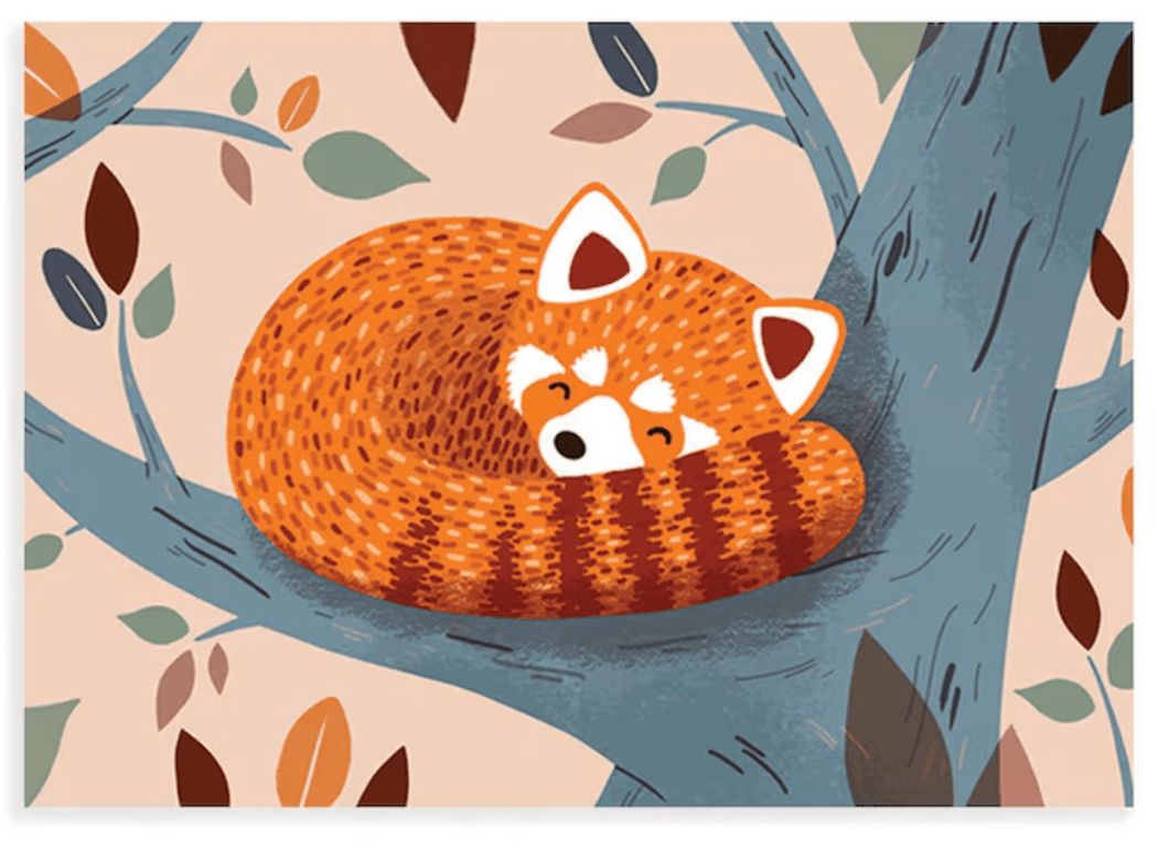 Red Panda Sleeping Postcard
