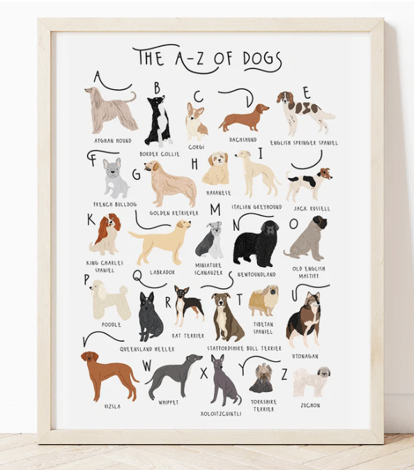 A-Z dogs A4 Print (unframed)