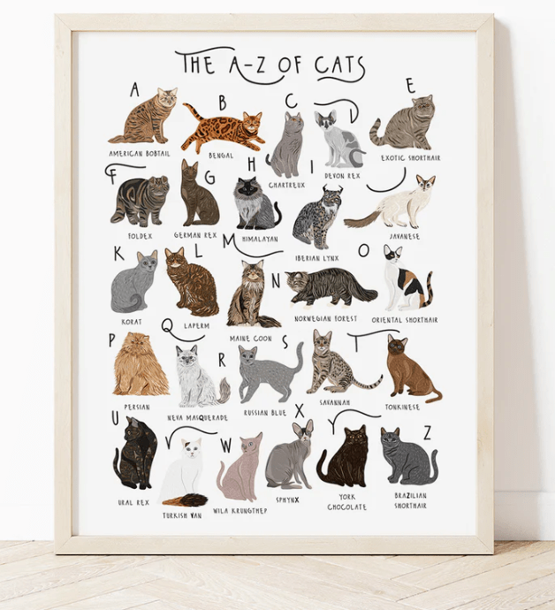 A-Z cats A4 Print (unframed)