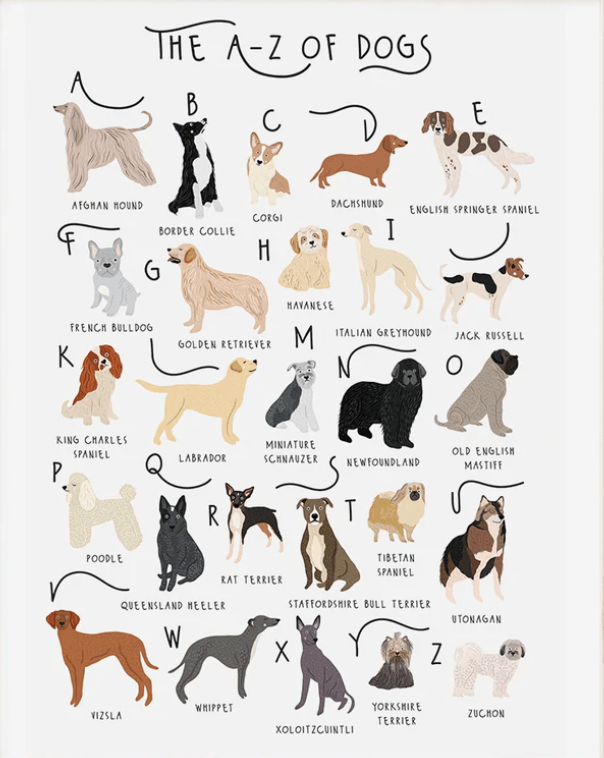 A-Z of dogs Card