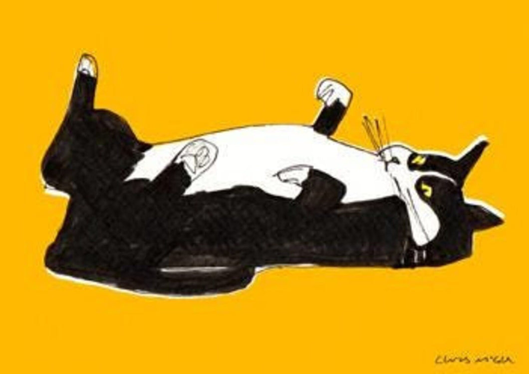 Cat on Back Print A4