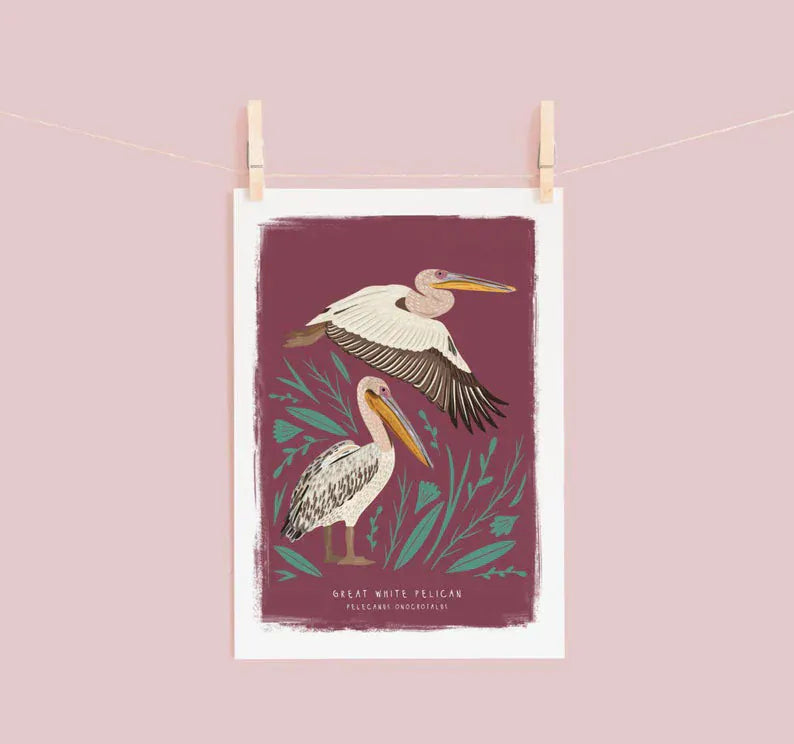 Great White Pelican Print A4
