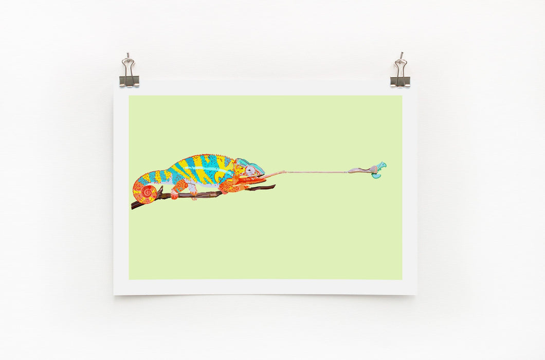 Chameleon A4 Print