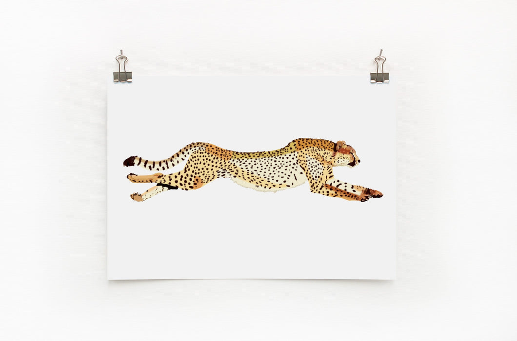 Cheetah A4 Print