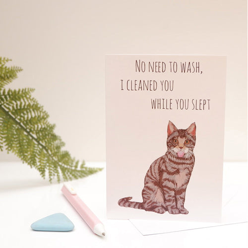 Etsy Cat.jpg