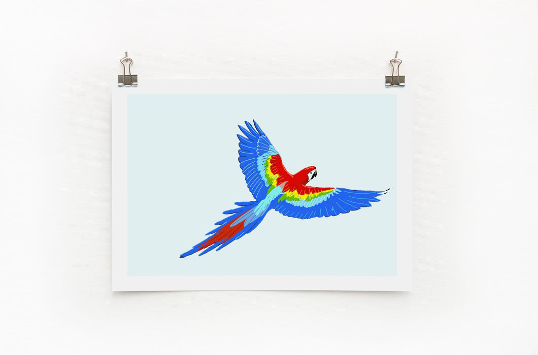 Macaw Parrot A4 Print