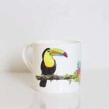 Load image into Gallery viewer, Toucan1A.jpg
