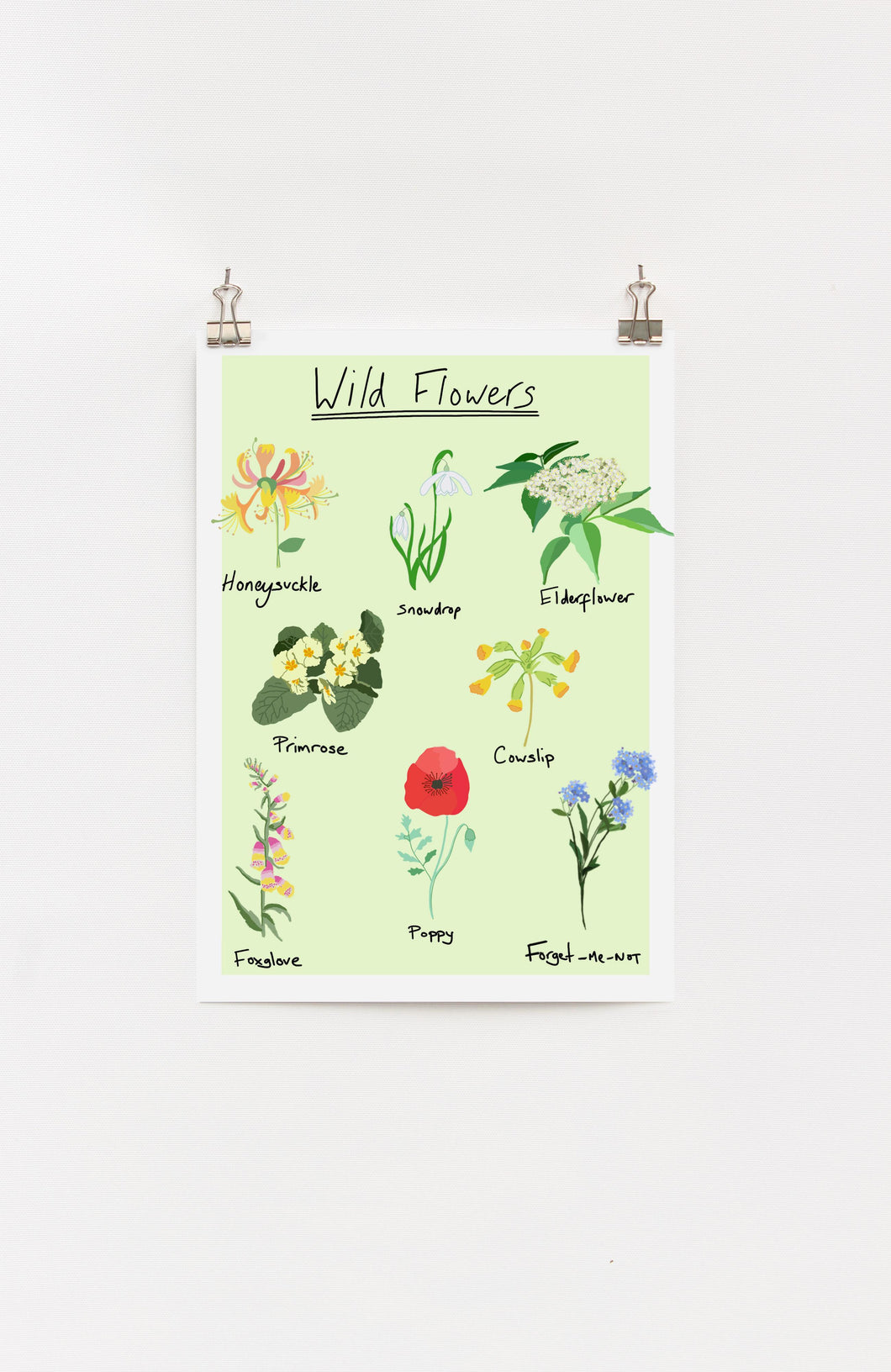 Wild Flowers A4 Print