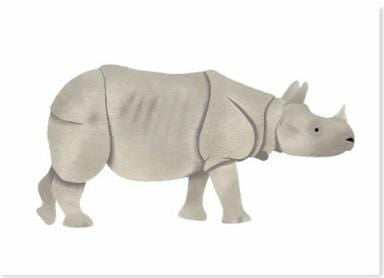 Indian Rino.jpg