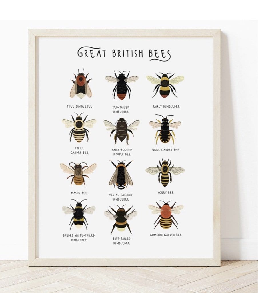 Great British Bees - A3 (unframed)