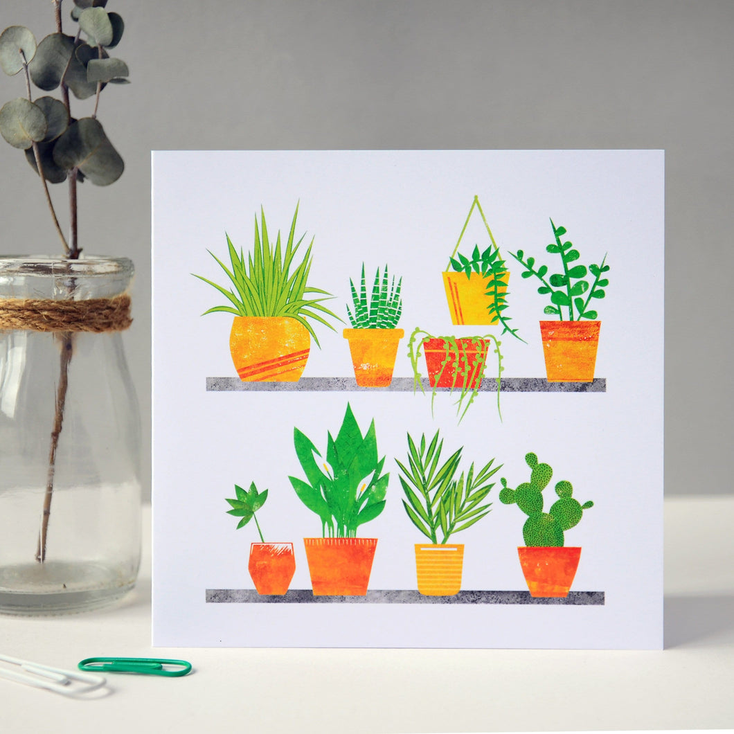 House plants Card