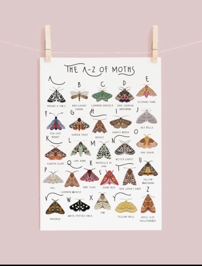 A-Z of Moths Print - A4
