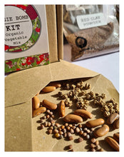 Load image into Gallery viewer, DIY Kids Veggie Bomb Kit
