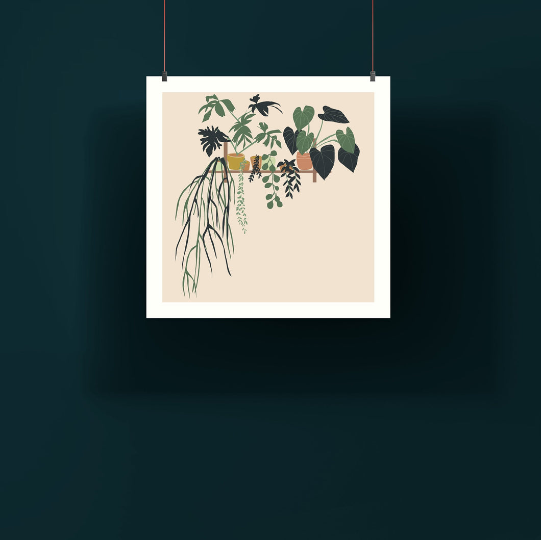 Botanical Shelf Print - Square