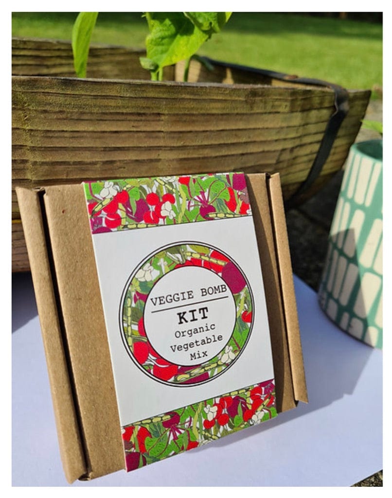 DIY Kids Veggie Bomb Kit