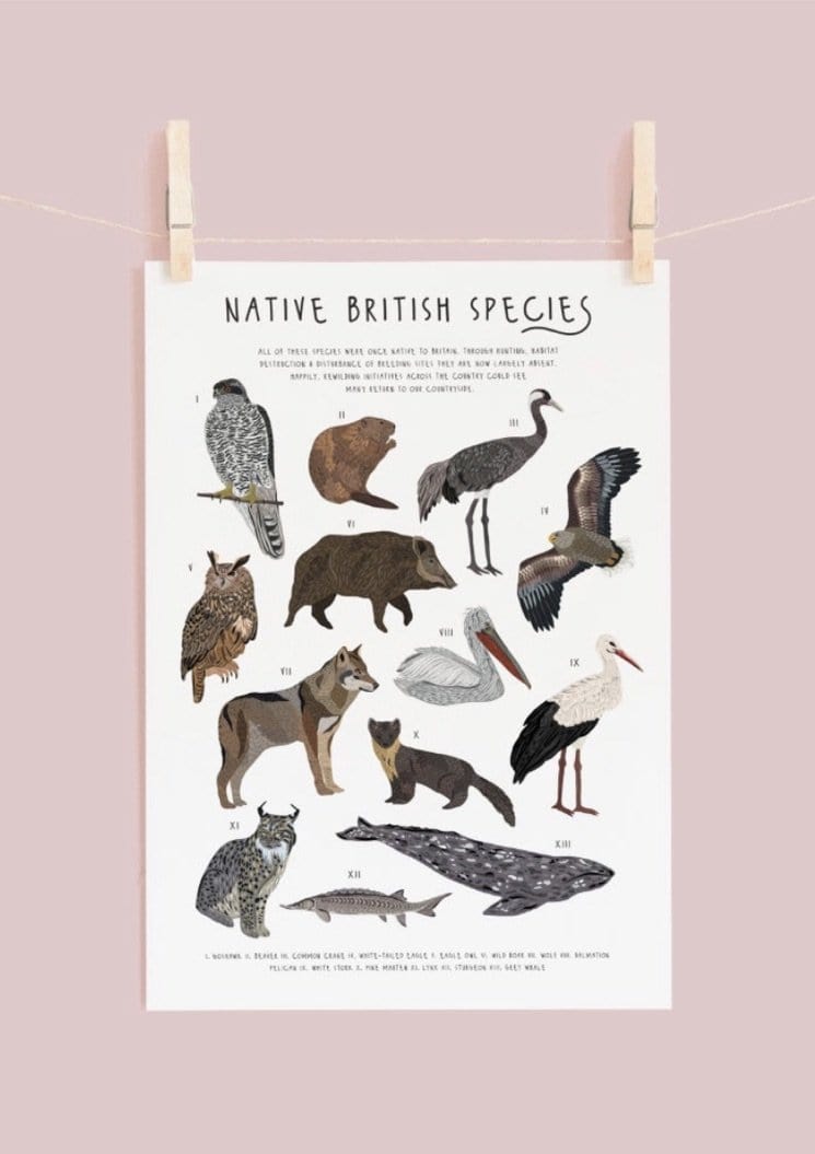 Native British Species Print - A4