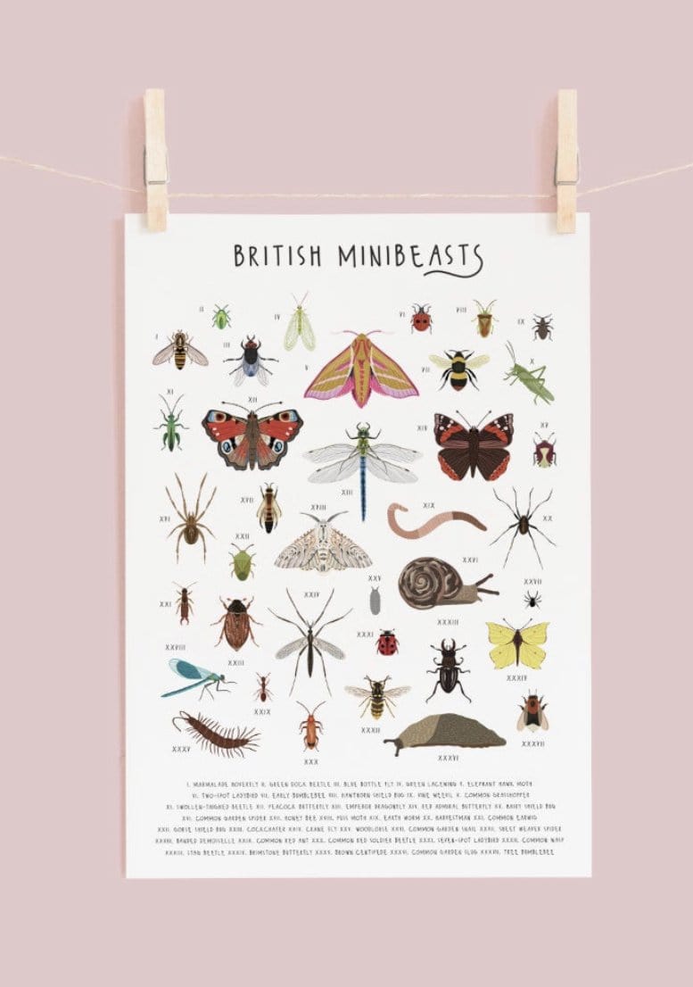 British Minibeasts Print - A4