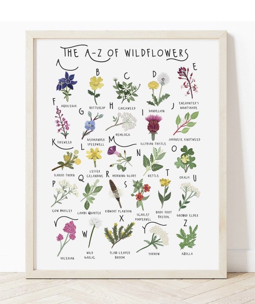 A-Z of Wildflowers - A3 (unframed)